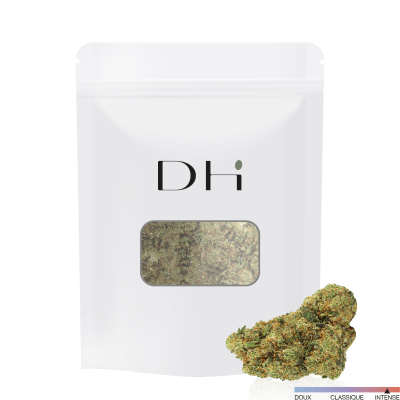 HDH Amnesia is a strain of cannabis known for its potent effects on memory and cognition. It is a cross between the strains Haze